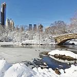 Ten Fun Family Activities to do in NYC During Cold Weather| The Mama Maven Blog
