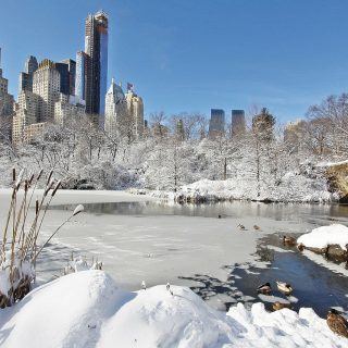 Ten Fun Family Activities to do in NYC During Cold Weather| The Mama Maven Blog