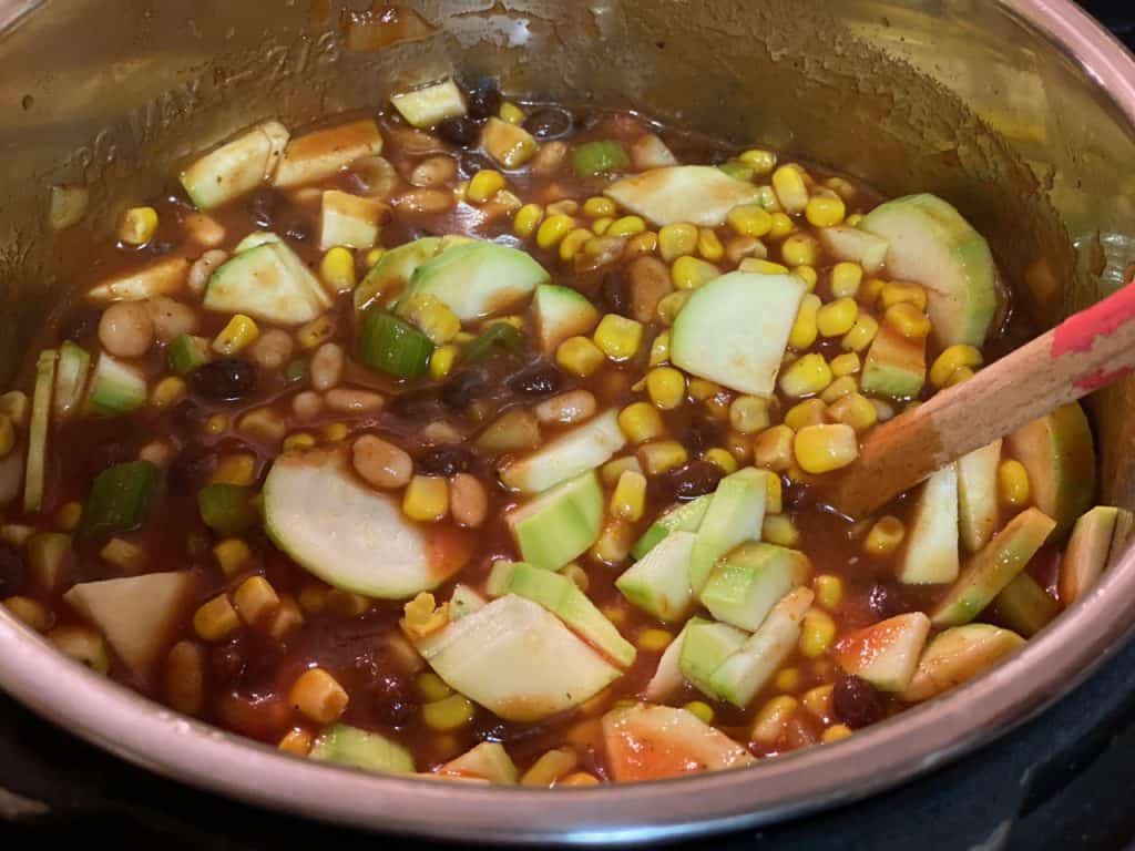 Easy Vegan Instant Pot Chili (0 WW SP - Blue ZeroPoints) - The Mama Maven Blog