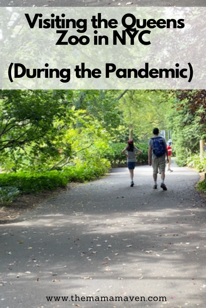 Visiting the Queens Zoo in NYC (During the Pandemic) | The Mama Maven Blog