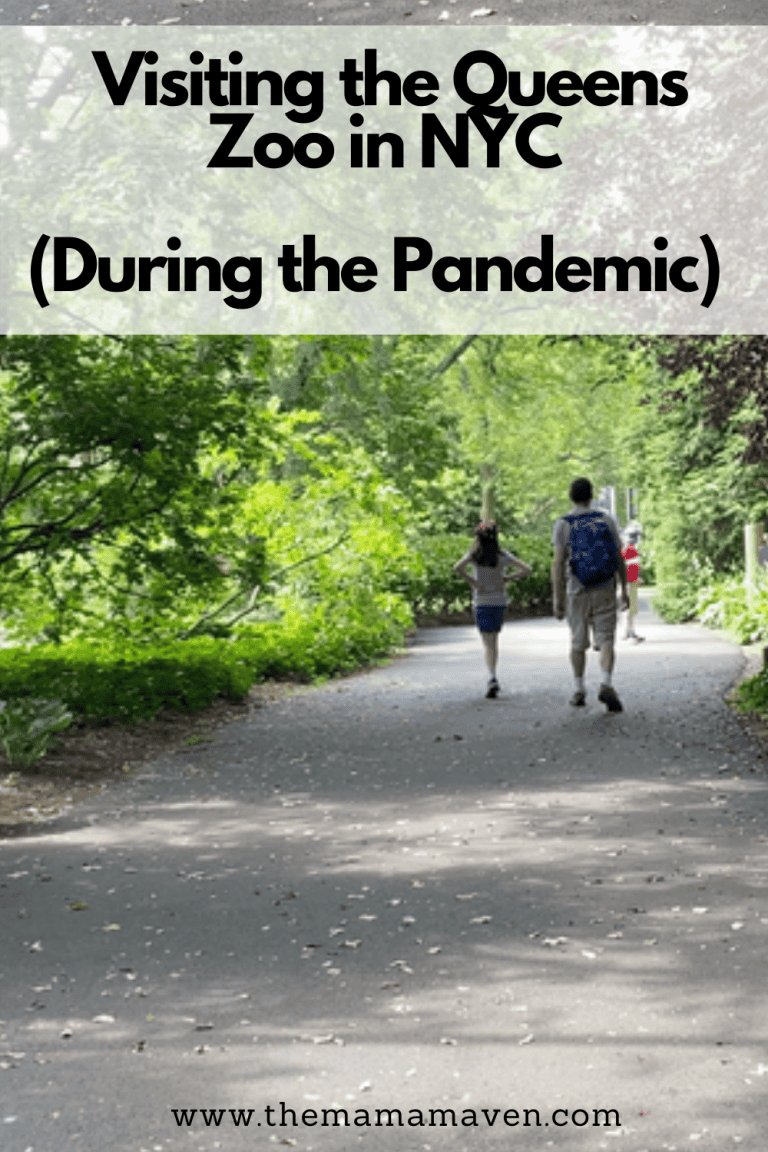 Visiting the Queens Zoo in NYC (During the Pandemic) The Mama Maven Blog