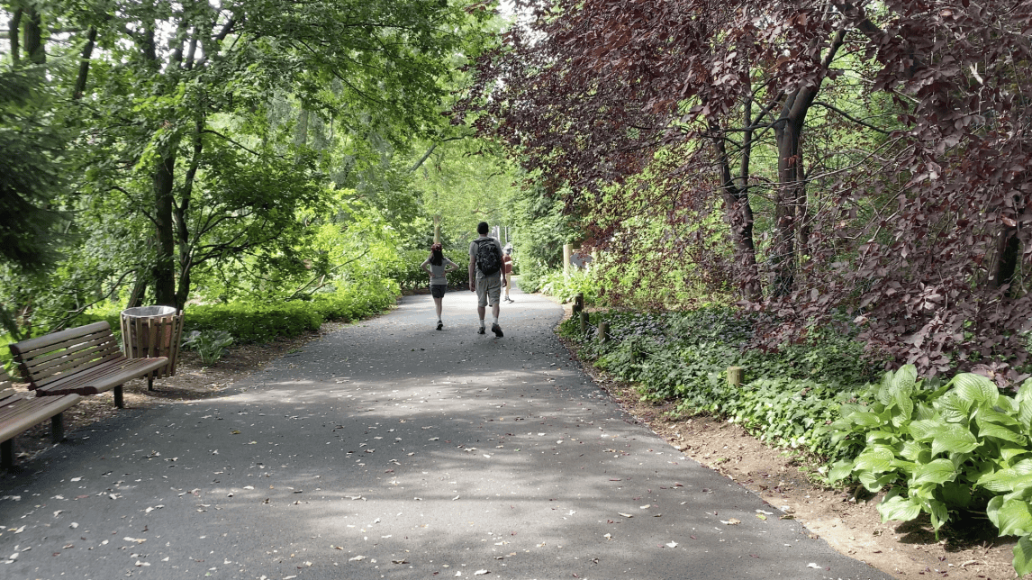 Visiting the Queens Zoo in NYC (During the Pandemic) - The Mama Maven Blog