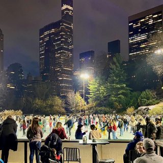 Wollman Rink | The Mama Maven Blog