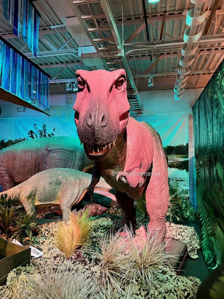 T Rex at Long Island Children's Museum