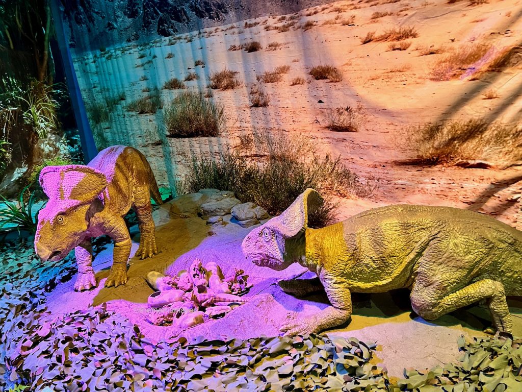 Tricertops at Long Island Children's Museum