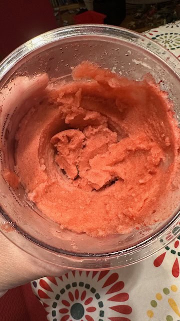 Ninja Creami Deluxe: Italian Ice Setting VS Sorbet 